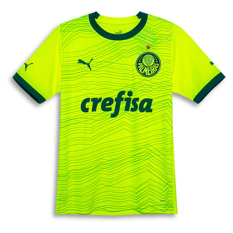 Camisa Palmeiras Third 23/24 - Torcedor Puma Masculino