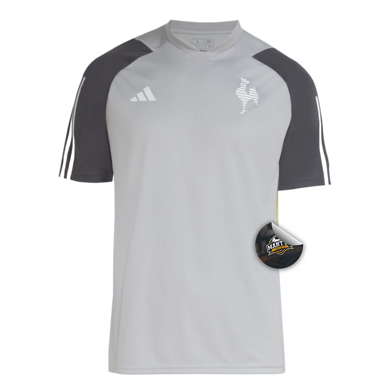 Camisa Atlético Mineiro Treino 24/25 - Torcedor Adidas Masculino - Cinza Claro