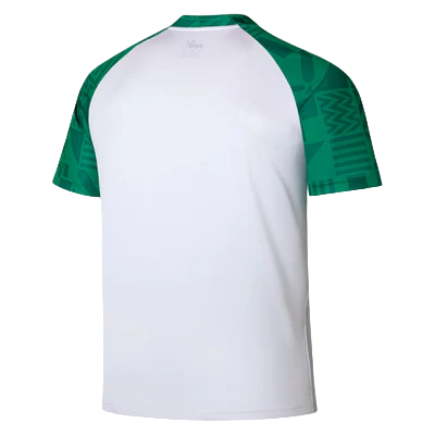 Camisa Palmeiras Pré-Jogo 23/24 - Torcedor Puma Masculino