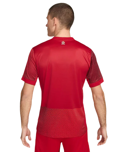 Camisa Polônia Away 24/25 - Torcedor Nike Masculino - Vermelho