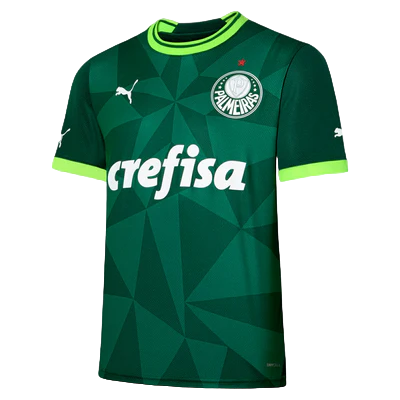 Camisa Palmeiras Home 23/24 - Torcedor Puma Masculino