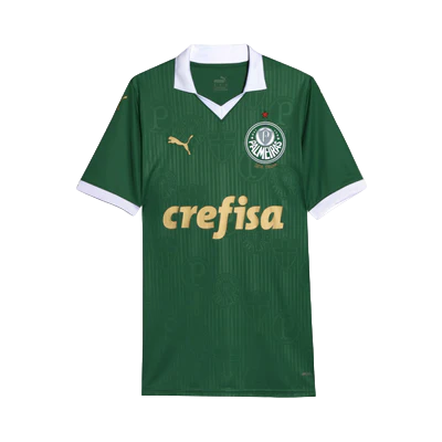 Camisa Palmeiras Home 24/25 - Torcedor Puma Masculino